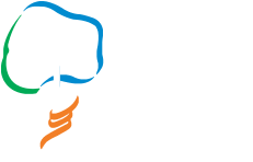 12. Ulusal Ortopedi ve Travmatoloji Hemşireliği Kongresi